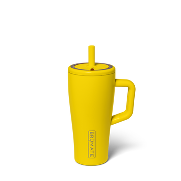 Era 20oz | Pineapple - Easy Drink